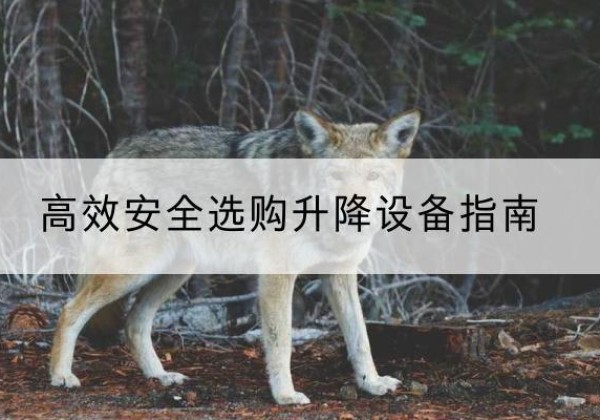 新绛升降货梯厂家推荐-*安全选购升降设备指南