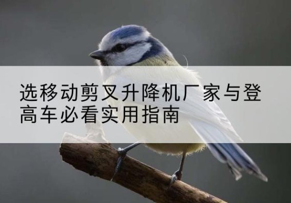 新绛电动升降机厂家-选移动剪叉升降机厂家与登高车必看实用指南
